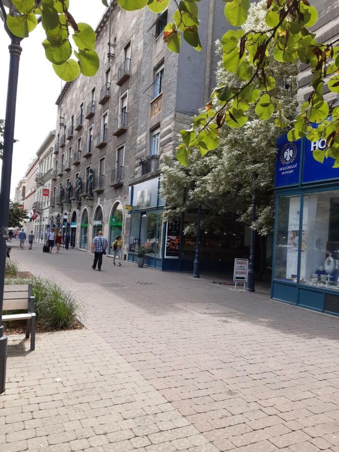Wanderer 3 Apartment Debrecen Exterior photo
